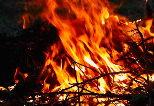 Hazard a Přátelství: Jaké Má Skutečné Dopady?